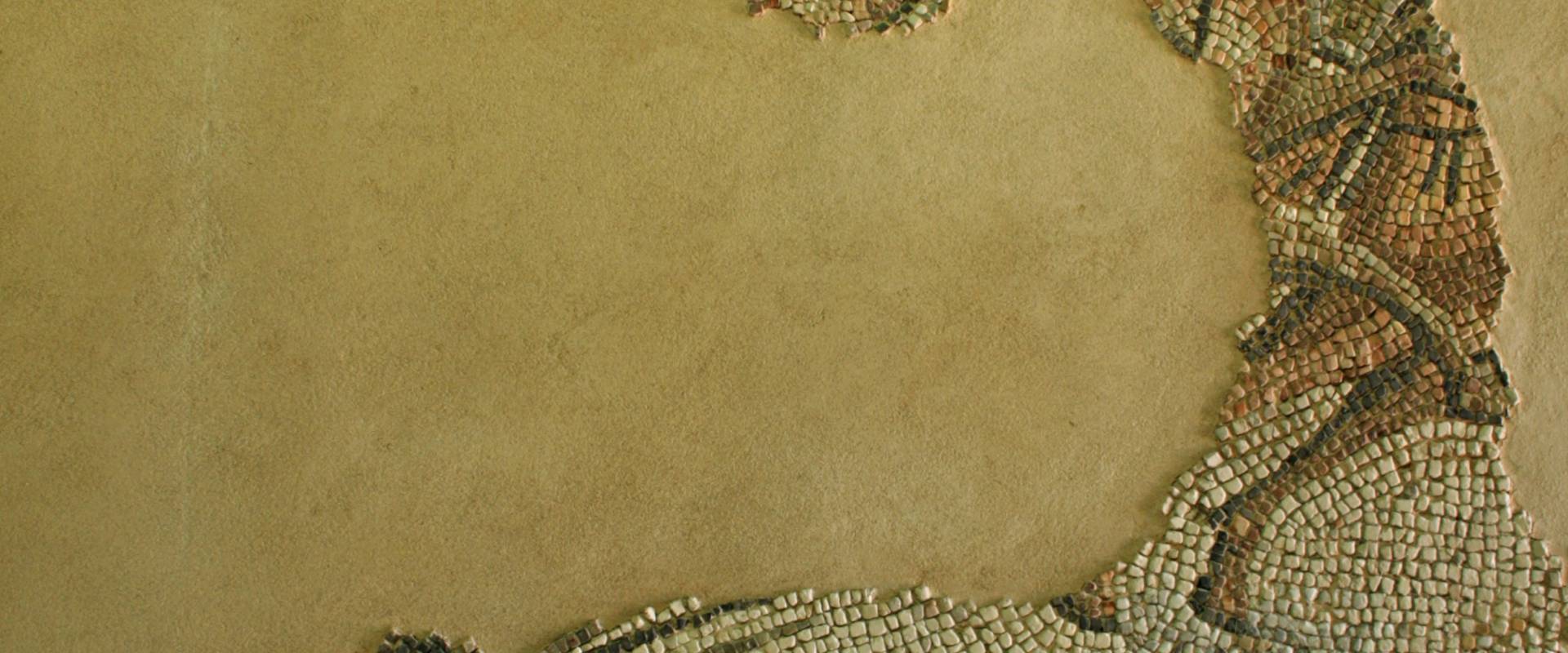 Palazzo di Teodorico - Mosaico piano superiore 7 foto di Walter manni
